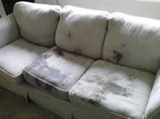Upholstery Cleaning in Olympia Before