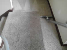 Grossbusters Carpet Cleaning in Yelm
