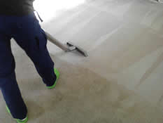 98502 Carpet Cleaning - Grossbusters