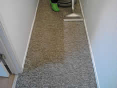 Carpet Cleaning Steilacoom