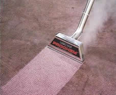 Carpet Cleaning Wand 