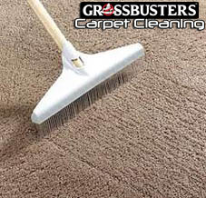 Carpet Grooming Rake